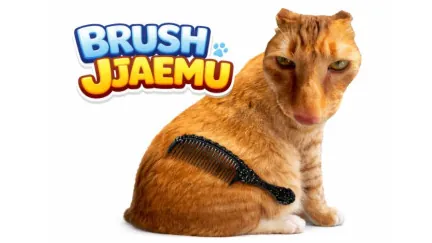 Brush Jjaemu